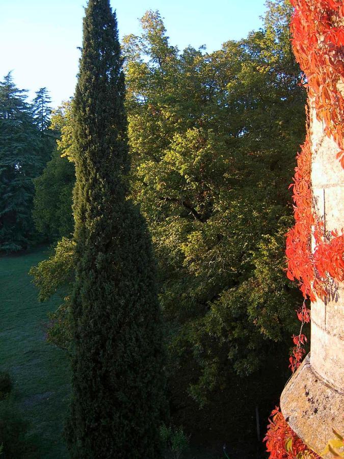 Chateau De Pitray, Pres De Saint Emilion Gardegan-et-Tourtirac Buitenkant foto