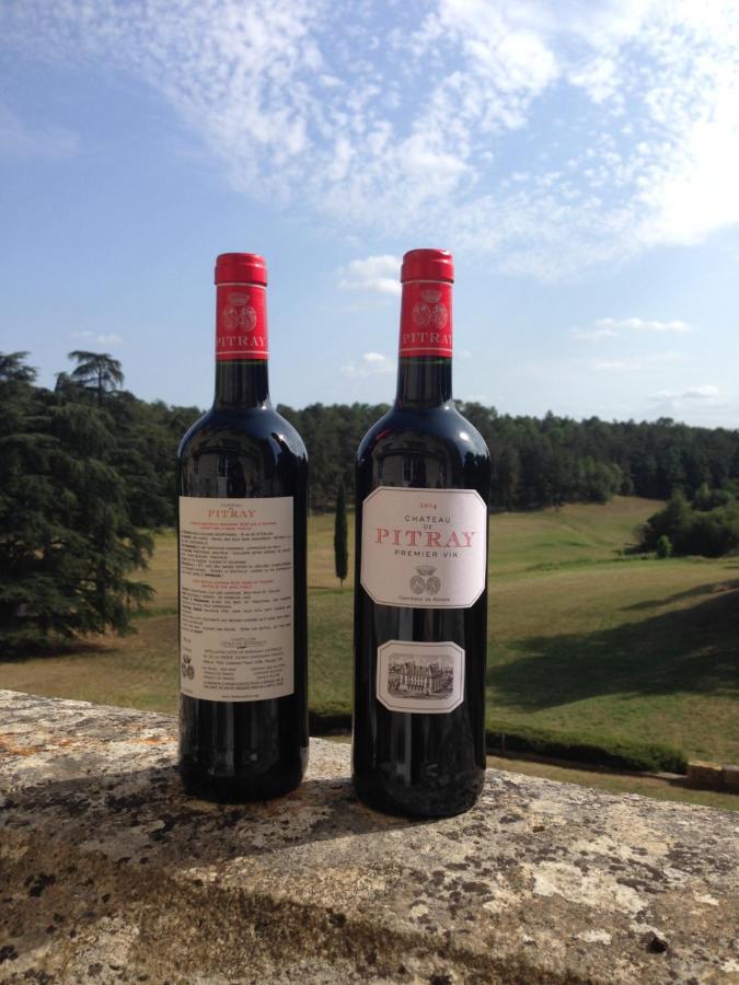 Chateau De Pitray, Pres De Saint Emilion Gardegan-et-Tourtirac Buitenkant foto
