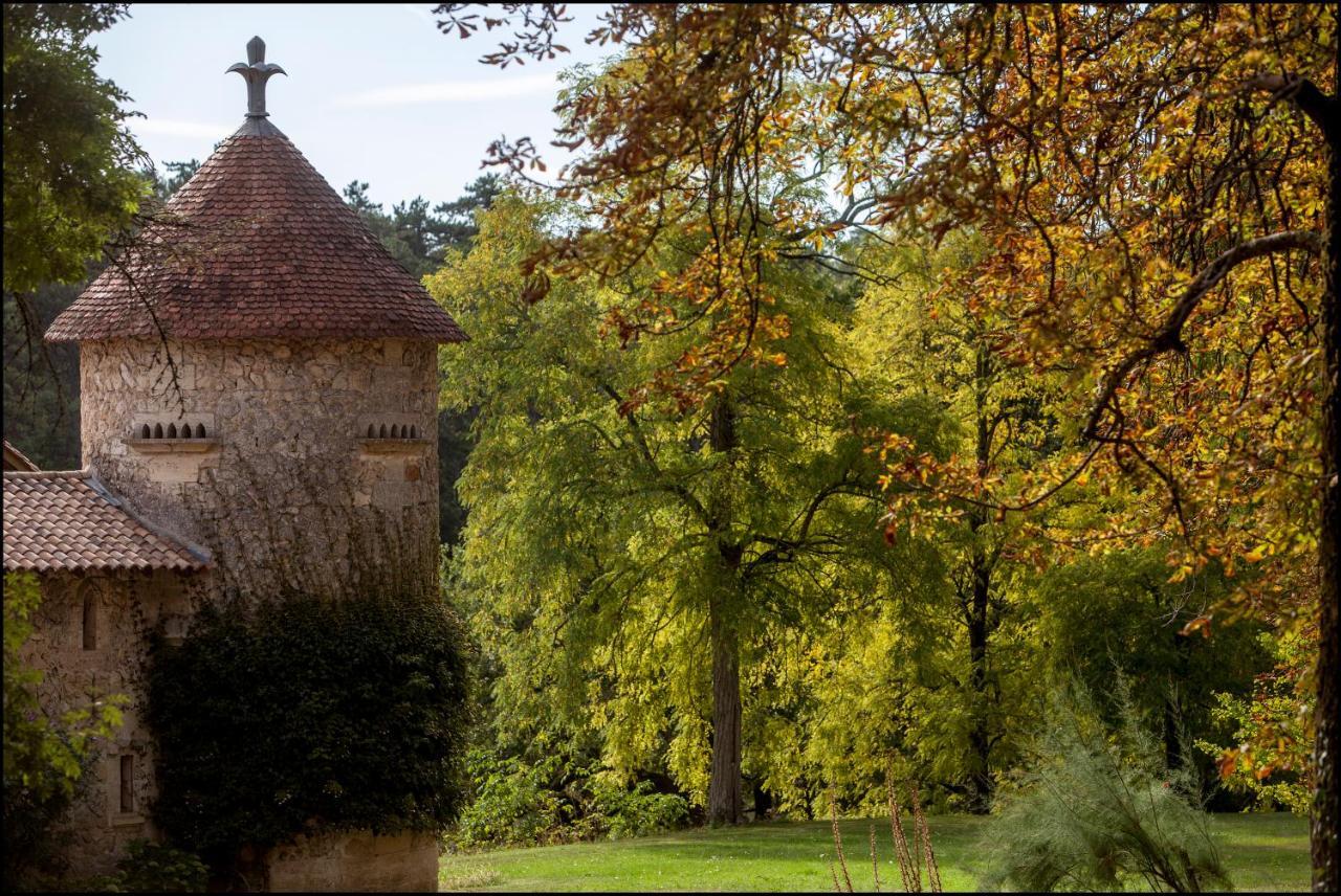 Chateau De Pitray, Pres De Saint Emilion Gardegan-et-Tourtirac Buitenkant foto