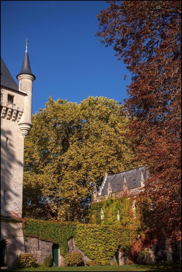Chateau De Pitray, Pres De Saint Emilion Gardegan-et-Tourtirac Buitenkant foto