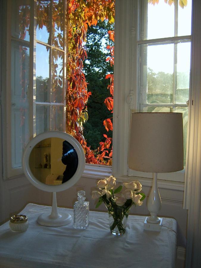 Chateau De Pitray, Pres De Saint Emilion Gardegan-et-Tourtirac Buitenkant foto